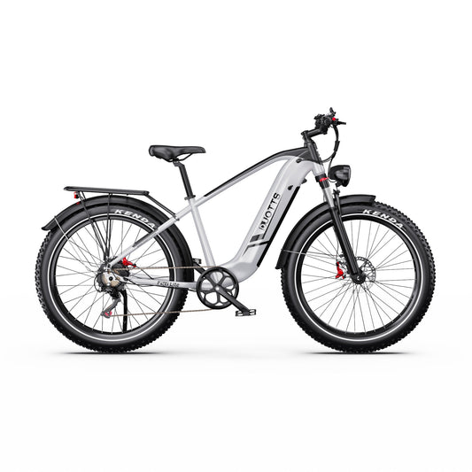 Duotts F26 Lite - E-Bike - Wheelyshop