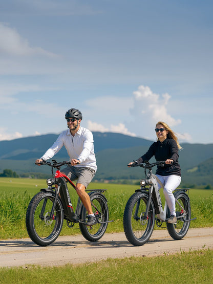 Duotts F26 Lite - E-Bike - Wheelyshop
