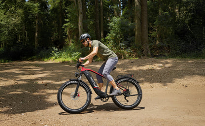 Duotts F26 Lite - E-Bike - Wheelyshop