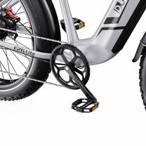 Kurbel und Pedale des Duotts F26 Lite