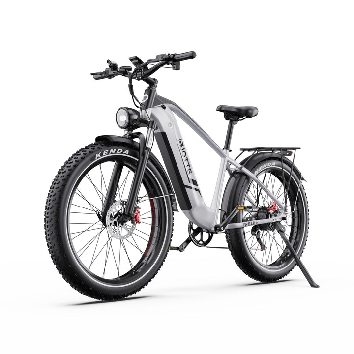 Duotts F26 Lite - E-Bike - Wheelyshop