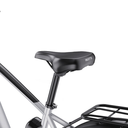 Duotts F26 - E-Bike - Wheelyshop