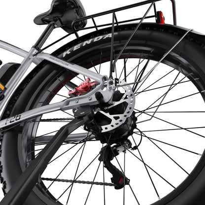 Duotts F26 - E-Bike - Wheelyshop