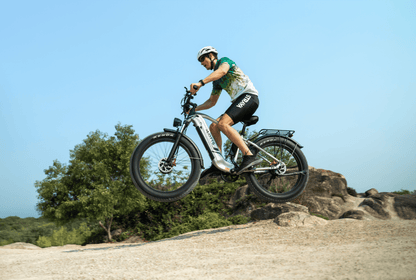 Duotts F26 - E-Bike - Wheelyshop