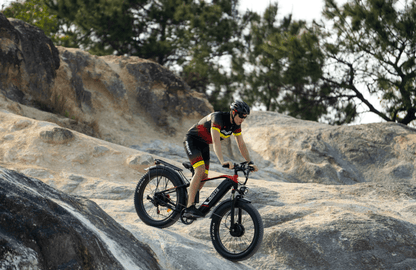 Duotts F26 - E-Bike - Wheelyshop