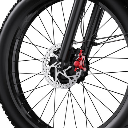 Duotts F26 - E-Bike - Wheelyshop