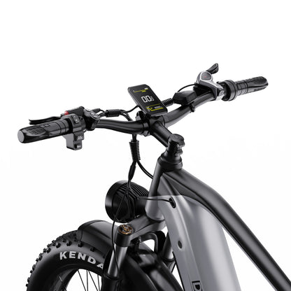 Duotts F26 - E-Bike - Wheelyshop