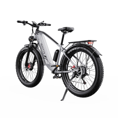 Duotts F26 - E-Bike - Wheelyshop