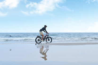 Duotts S26 - E-Bike - Wheelyshop