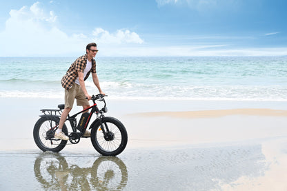 Duotts S26 - E-Bike - Wheelyshop
