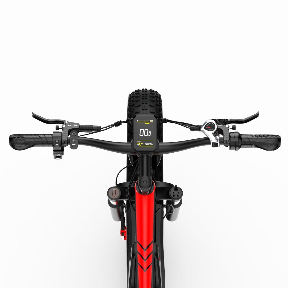 Duotts S26 - E-Bike - Wheelyshop