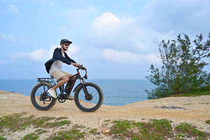 Duotts S26 - E-Bike - Wheelyshop