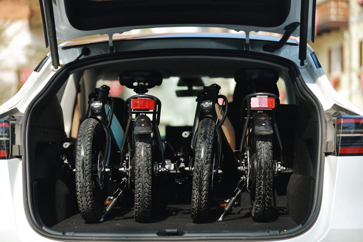 DYU C2 - E-Bike - Wheelyshop