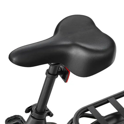 DYU C2 - E-Bike - Wheelyshop