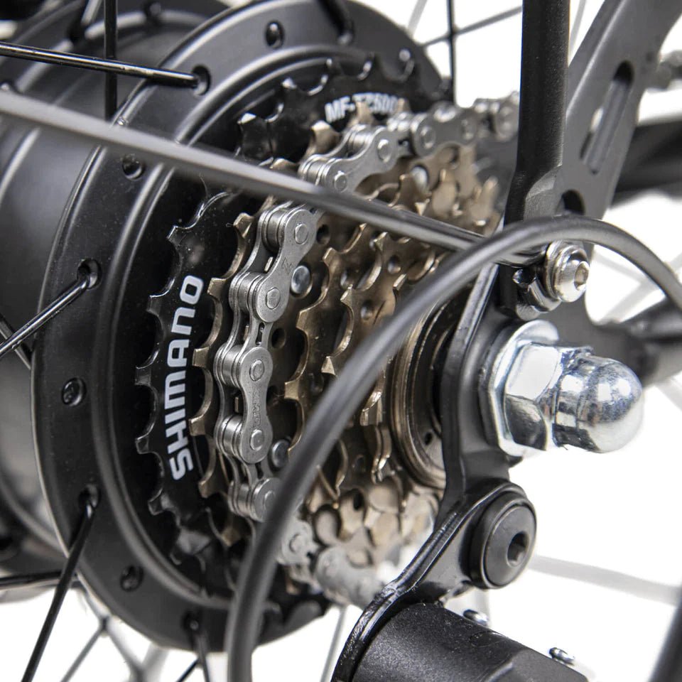 DYU C6 - E-Bike - Wheelyshop
