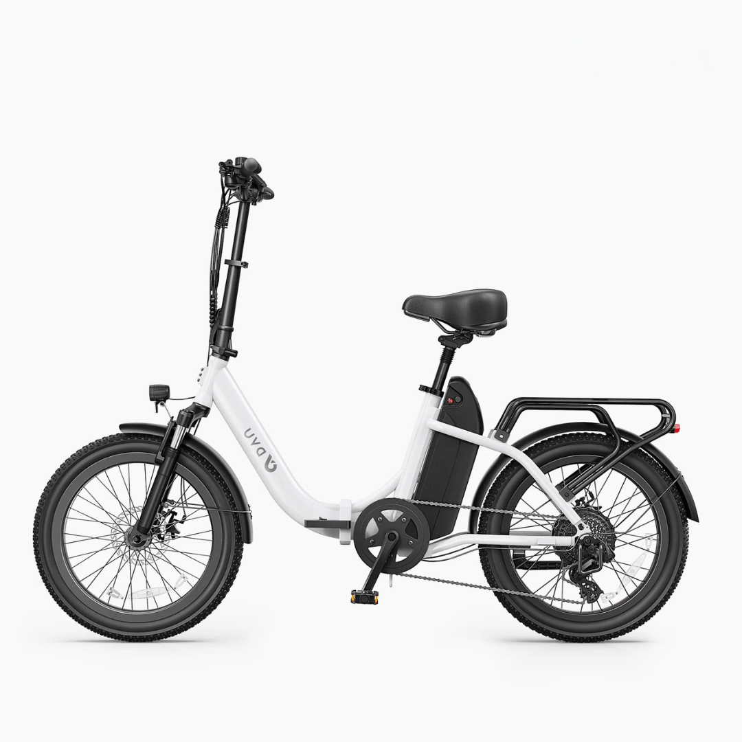 DYU C9 - E-Bike - Wheelyshop