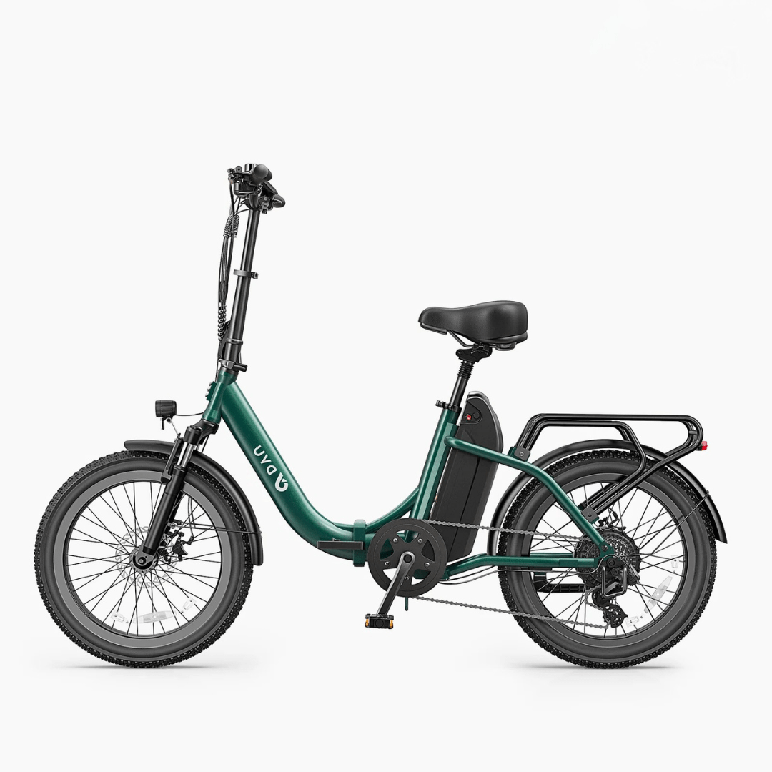 DYU C9 - E-Bike - Wheelyshop