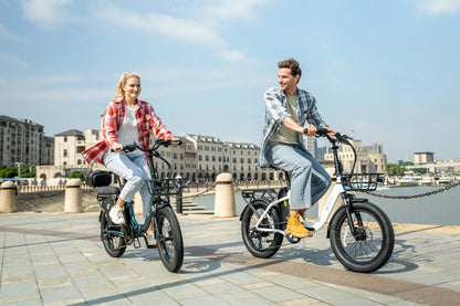 DYU C9 - E-Bike - Wheelyshop