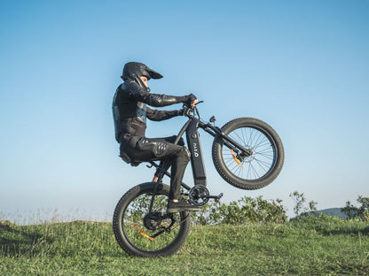 DYU King 750 - E-Bike - Wheelyshop
