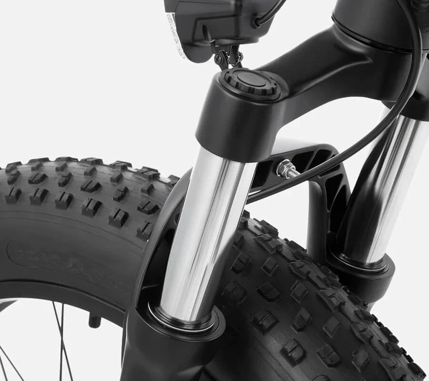 DYU King 750 - E-Bike - Wheelyshop