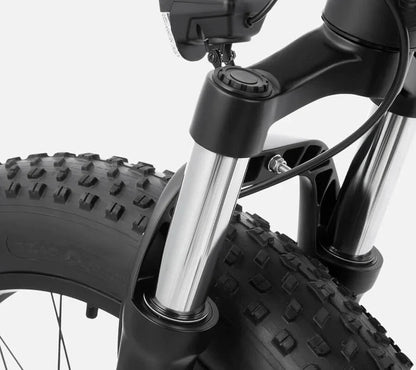 DYU King 750 - E-Bike - Wheelyshop