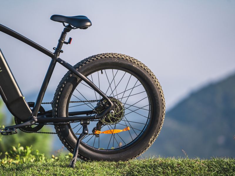 DYU King 750 - E-Bike - Wheelyshop