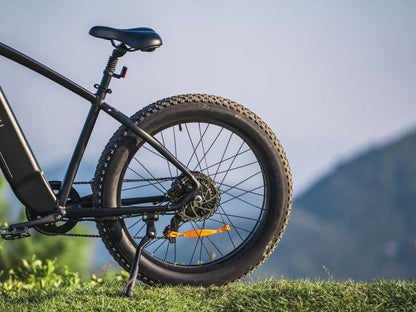 DYU King 750 - E-Bike - Wheelyshop