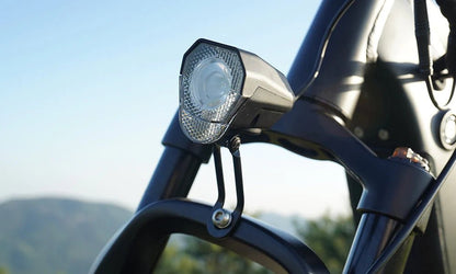DYU King 750 - E-Bike - Wheelyshop