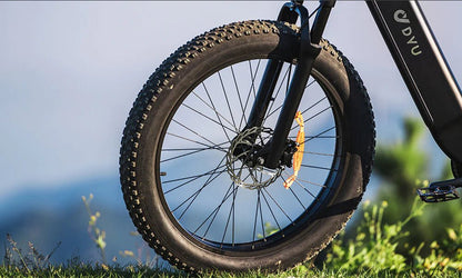 DYU King 750 - E-Bike - Wheelyshop