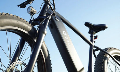 DYU King 750 - E-Bike - Wheelyshop