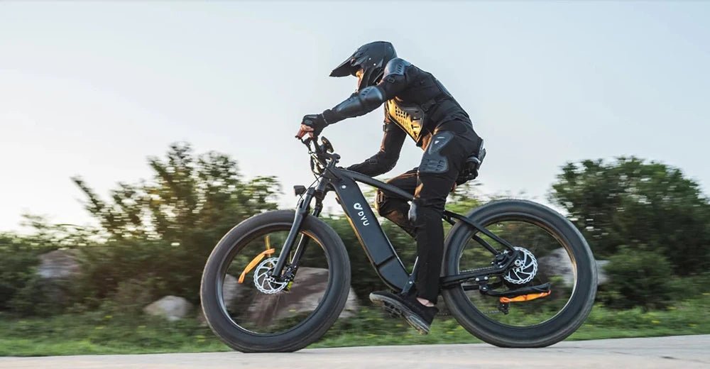 DYU King 750 - E-Bike - Wheelyshop
