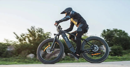 DYU King 750 - E-Bike - Wheelyshop