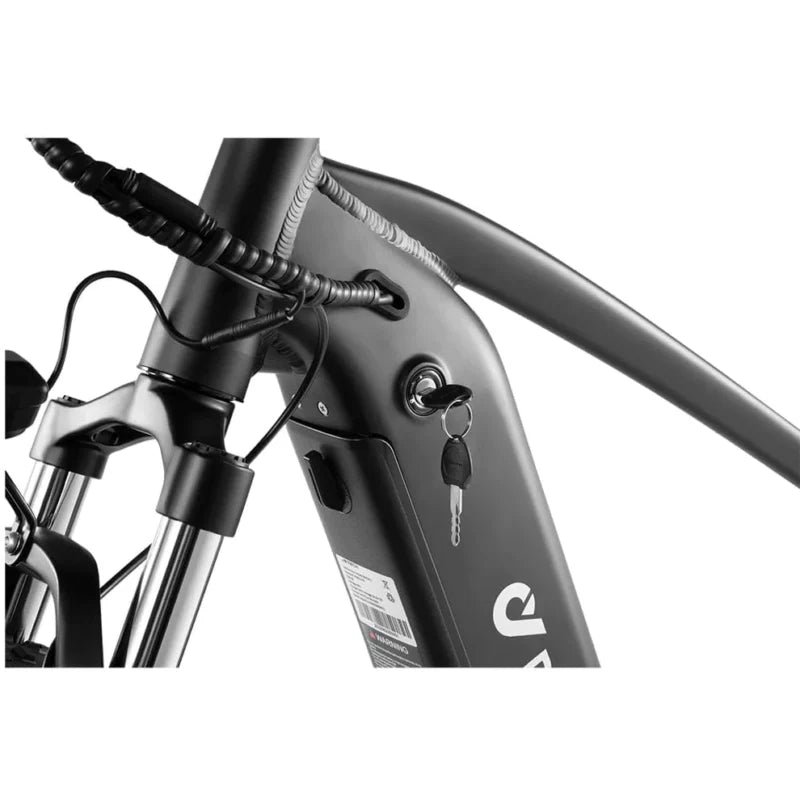 DYU King 750 - E-Bike - Wheelyshop