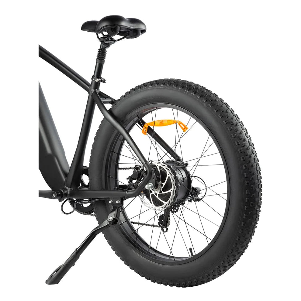 DYU King 750 - E-Bike - Wheelyshop