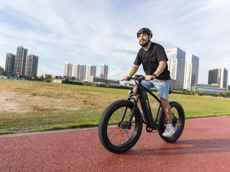 DYU King 750 - E-Bike - Wheelyshop