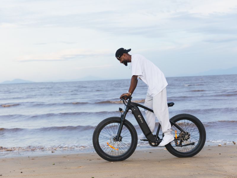 DYU King 750 - E-Bike - Wheelyshop