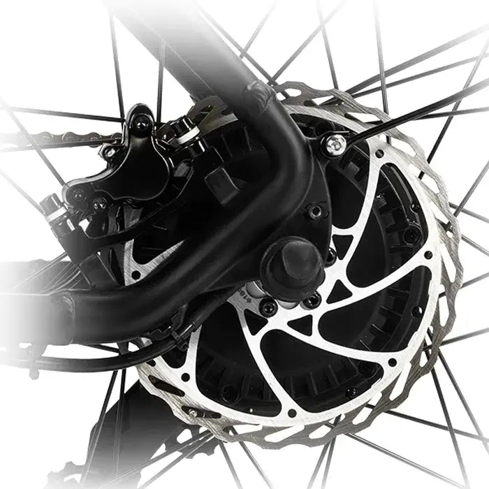 DYU King 750 - E-Bike - Wheelyshop