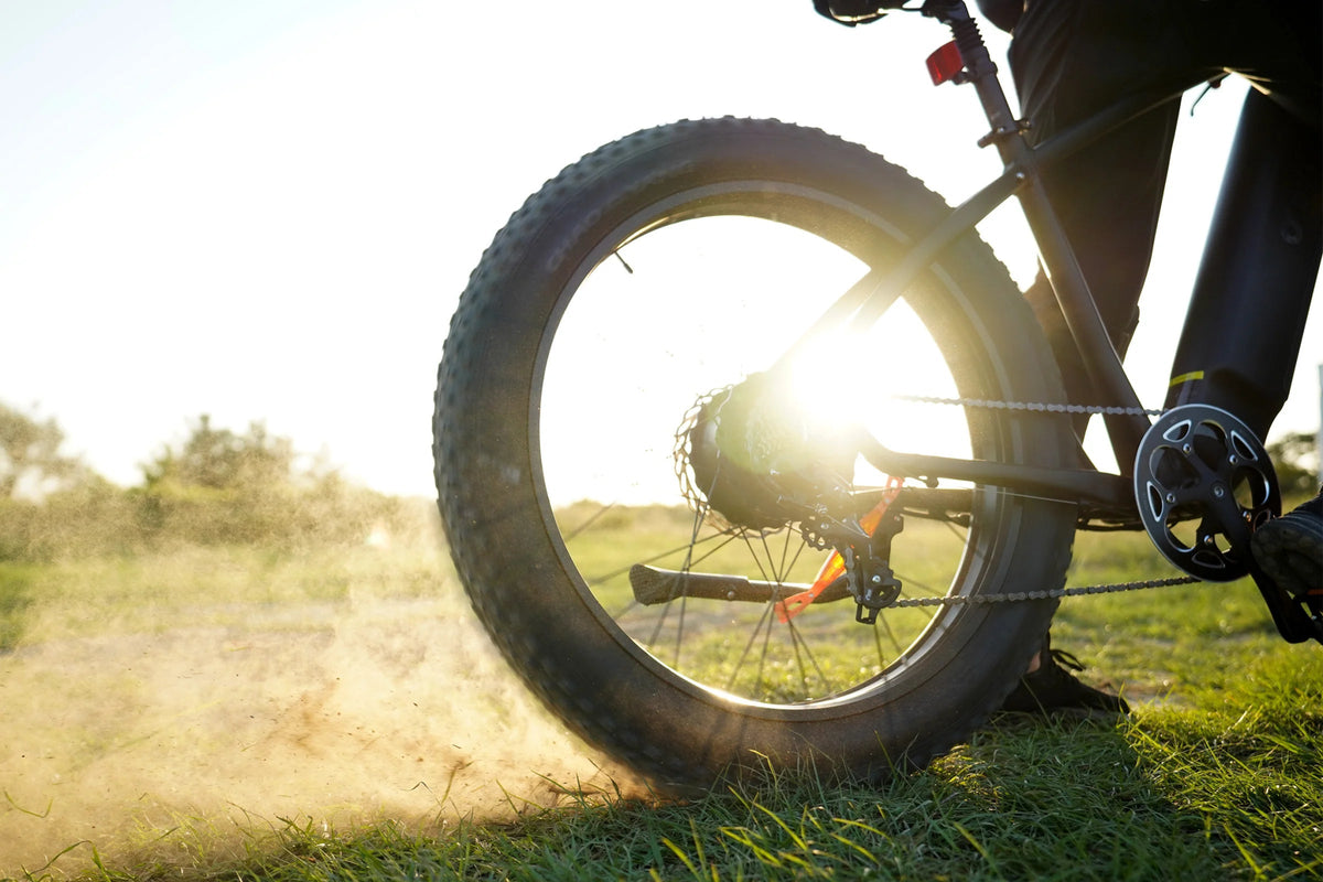 DYU King 750 - E-Bike - Wheelyshop