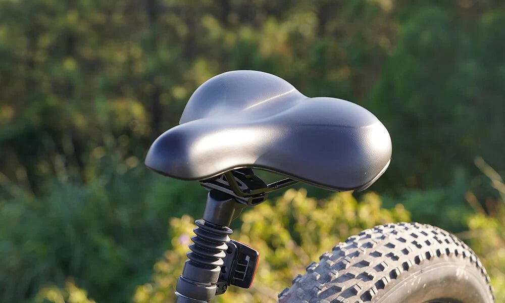 DYU King 750 - E-Bike - Wheelyshop