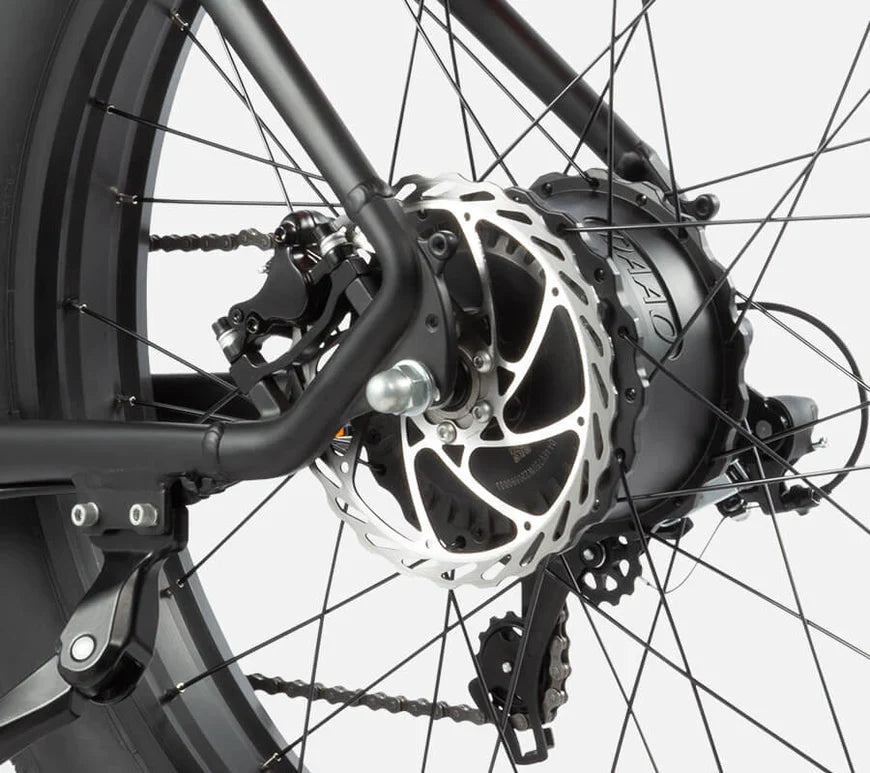 DYU King 750 - E-Bike - Wheelyshop