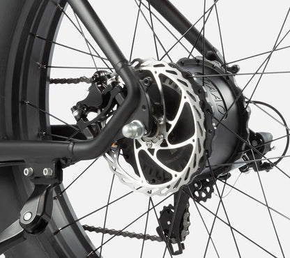 DYU King 750 - E-Bike - Wheelyshop