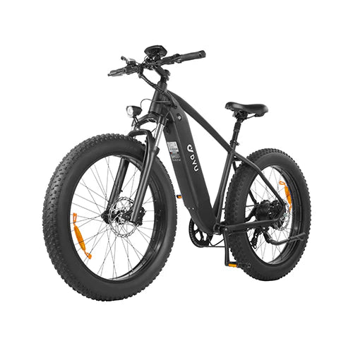 DYU King 750 - E-Bike - Wheelyshop
