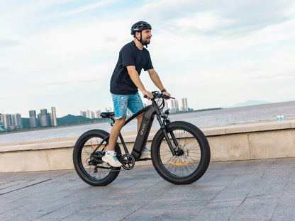 DYU King 750 - E-Bike - Wheelyshop