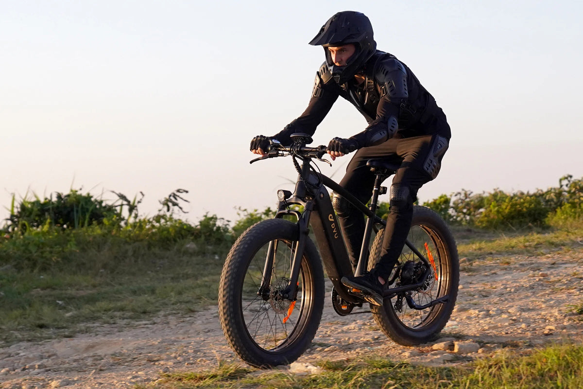 DYU King 750 - E-Bike - Wheelyshop