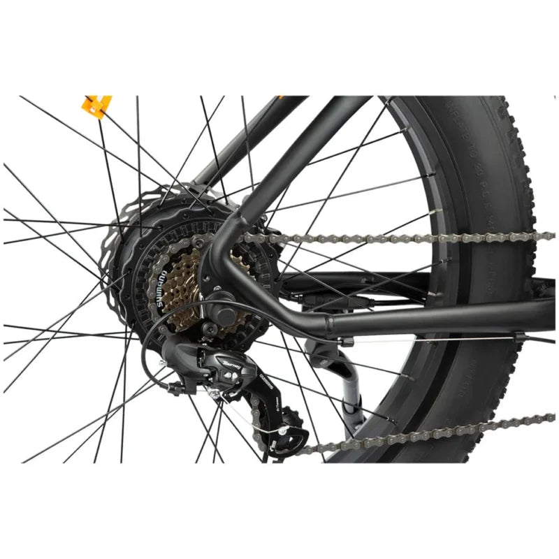 DYU King 750 - E-Bike - Wheelyshop