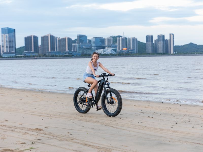 DYU King 750 - E-Bike - Wheelyshop