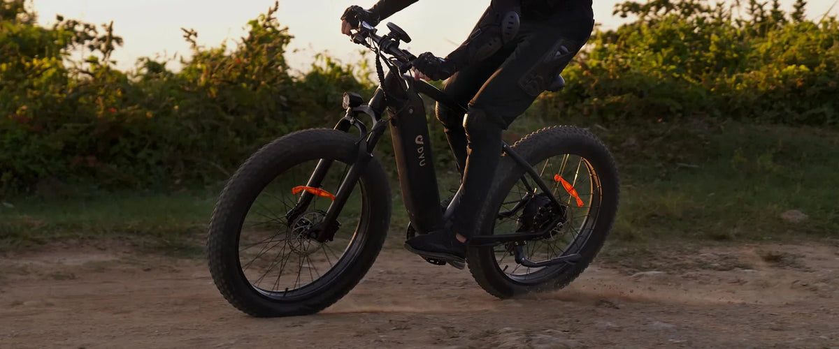 DYU King 750 - E-Bike - Wheelyshop