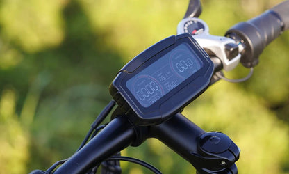 DYU King 750 - E-Bike - Wheelyshop