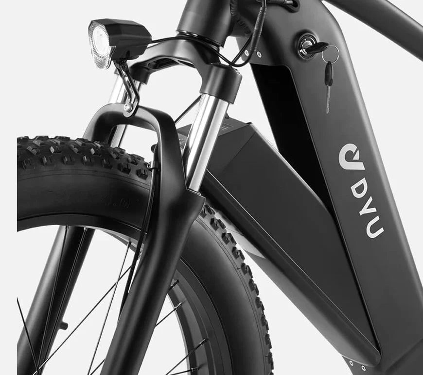DYU King 750 - E-Bike - Wheelyshop