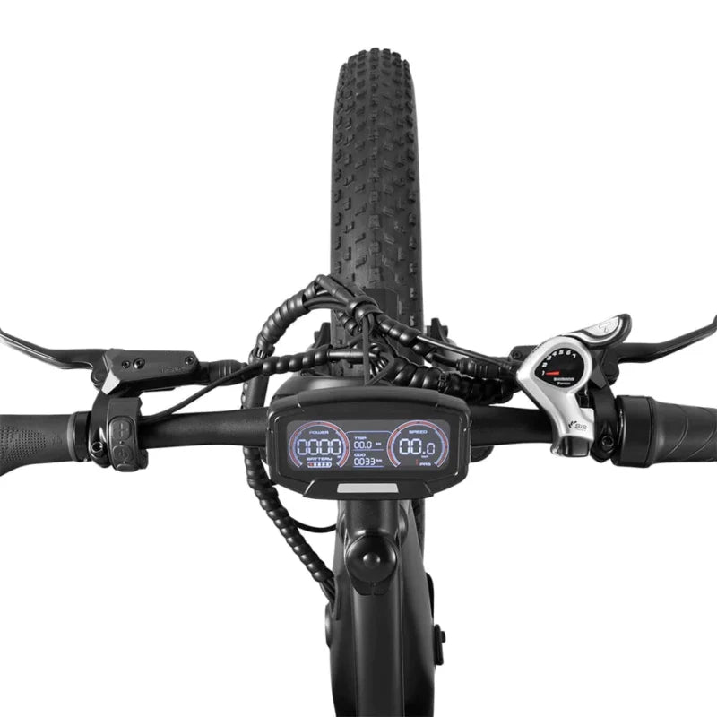 DYU King 750 - E-Bike - Wheelyshop